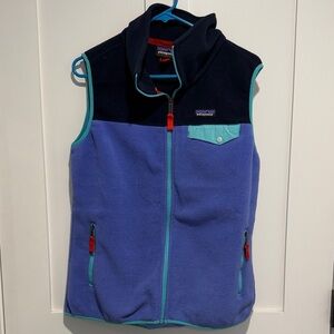 Patagonia Synchilla snap-t vest